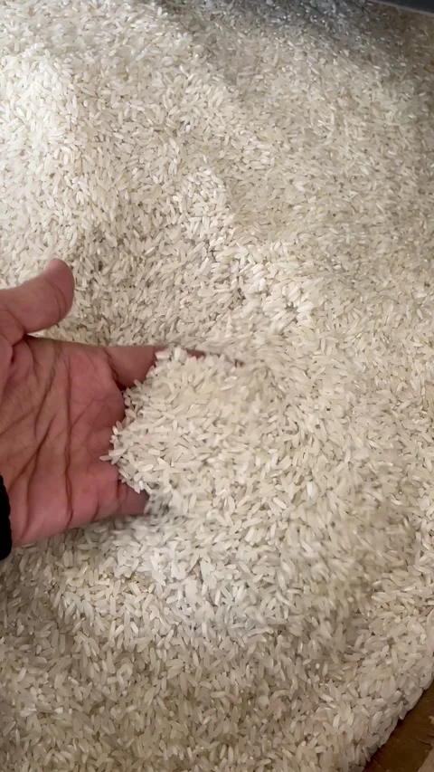 Man's hand holding rice. vertical video	 Stock Footage 280857644