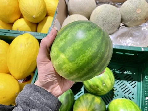 A man's hand holding a tiny watermelon in a shop over crates of different kinds Stock Photos