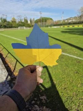 Man's hand holding a tree leaf with the flag of ukraine. Stock Photos