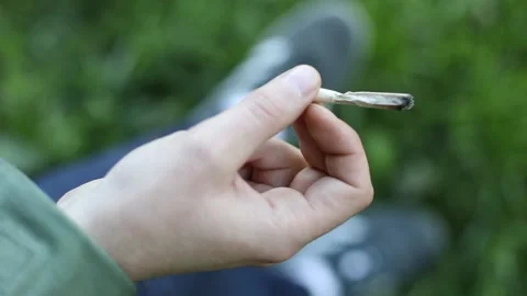 Man's hand holds a burning cigarette roll with tobacco, close-up. Stock Footage 155159608