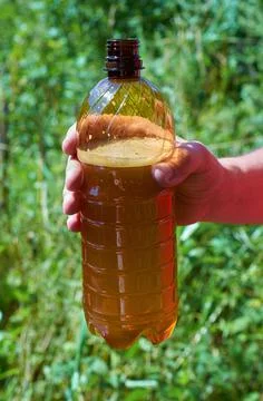 A man's hand holds an open plastic beer bottle. Vertical format. Stock Photos