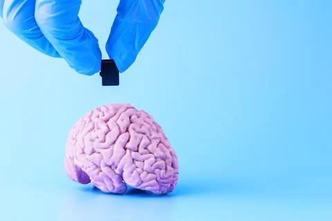 A man's hand inserts a flash card into the brain Stock Photos