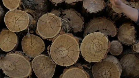 The man's hand knocks on the log Stock Footage 76277262