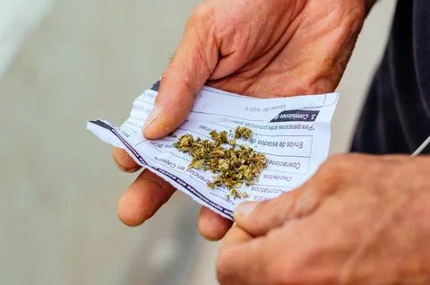 Mans hand with marijuana ready to roll. Stock Photos