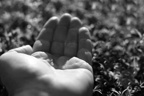 Mans hand open concept background Stock Photos