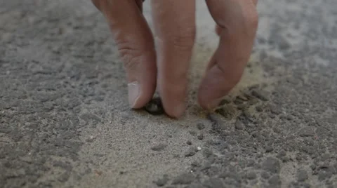 Man's hand picks up a stone from the ground. Stock Footage 51755860