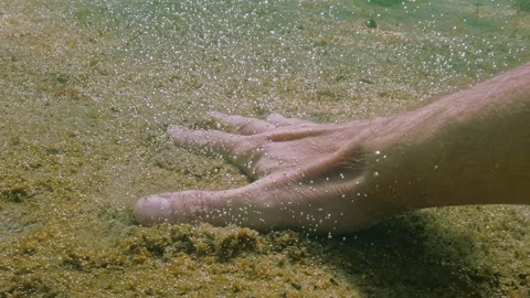 Man's hand presses in thin layer of golden-brown colony of gas-producing Stock Footage 333596586
