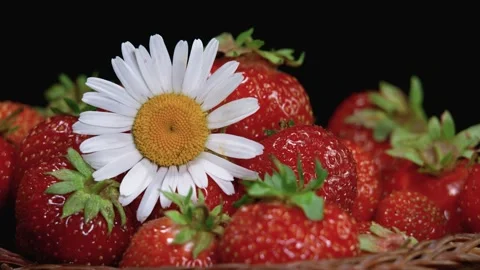 A man's hand puts a strawberry Stock Footage 156713626