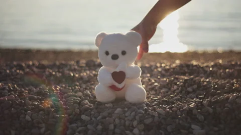 Man's hand puts white teddy bear with heart sign as gift on pebble beach in rays Video stock 229896687