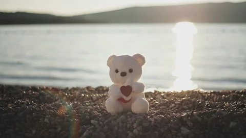Man's hand puts white teddy bear with heart sign as gift on pebble beach in rays Stock Footage 229909357