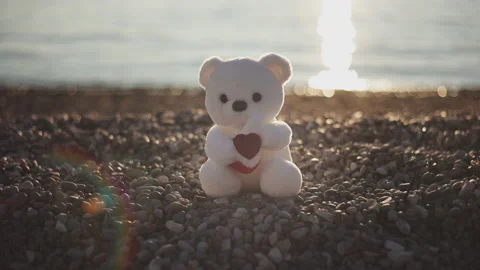 Man's hand puts white teddy bear with heart sign as gift on pebble beach in rays Stock Footage 230968006