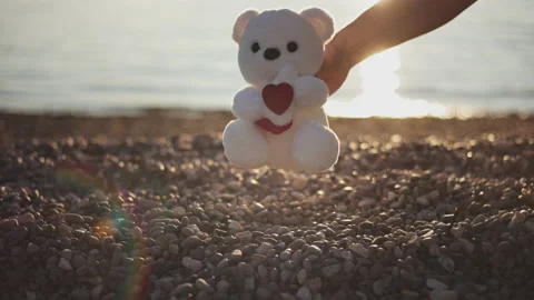 Man's hand puts white teddy bear with heart sign as gift on pebble beach in rays Stock Footage 231010505