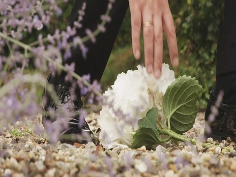 A man's hand raises a flower Stock Footage 73615341