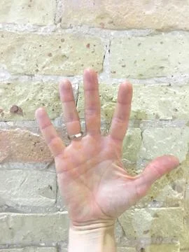Man's hand with a ring on a light brick wall Stock Photos