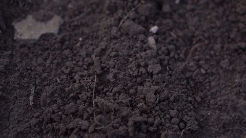 Man's hand scoops and pours the soil. Slow motion Stock Footage 80060741