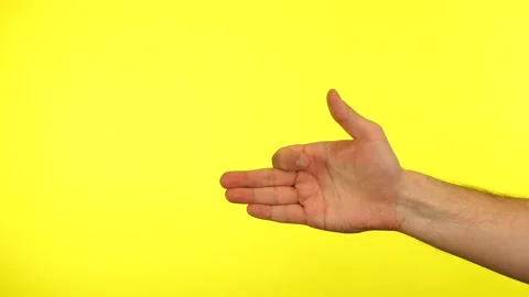 A man's hand shows the dog's muzzle gesture. Stock Footage 153534387