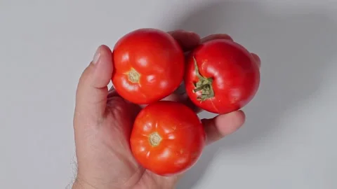 A man's hand shows three ripe organic red tomatoes close-up on a white backgroun Stock Footage 160339942