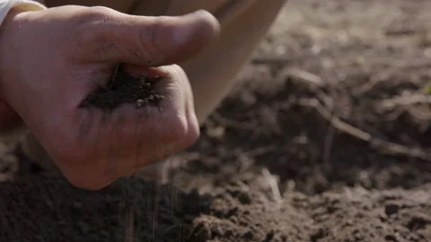 Man's hand sifting through soil, preparing for planting, agriculture, Stock Footage 154022997