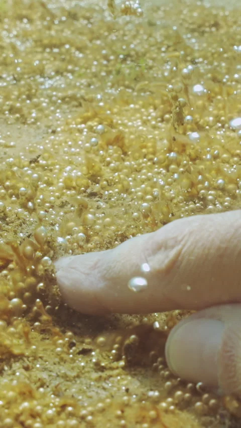 Man's hand slides on sand ripping off tiny bubbles along with brown biofilm of Stock Footage 316225554