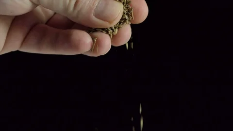 Mans hand spreading pinch of cumin. Spices and food ingredients. Stock Footage 123000134
