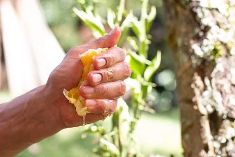 Man's hand squeezing orange with force. Orange juice. nature background. Stock Photos
