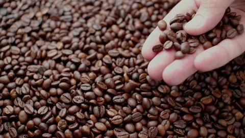 A man's hand is stirring roasted coffee beans. Close up. Stock Footage 156210032