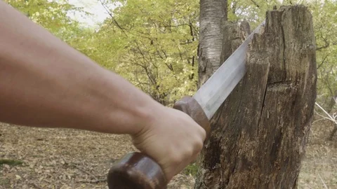 Man's hand with sword in hand, with which he gives in a tree trunk Stock Footage 125506760