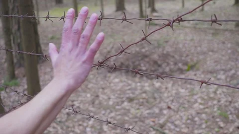 A man's hand touches a barbed wire fence. COVID-19 self-isolation concept Видео 129083210