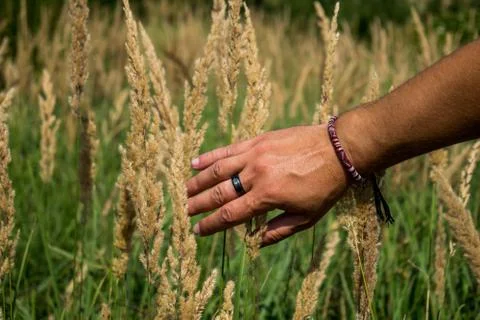 The man's hand touching the grass Stock Photos