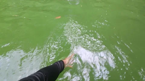Man's hand touching the water of a river or lake from a boat on a ride on t.. Stock Footage 267840330