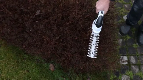 Mans hand trims low bushes with cordless garden hedge trimmer, top view Stock Footage 326964848