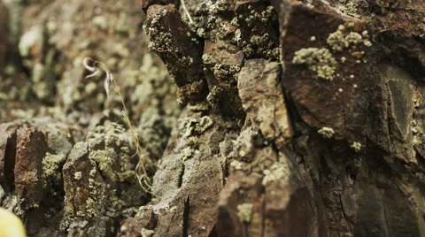 Man's Hand Wedding Ring Against Black Rock Видео 64305092