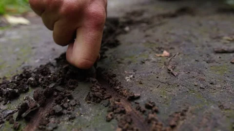 A man's hand writes on the ground with a stick. Ancient drawings and symbols. Stock Footage 279835645