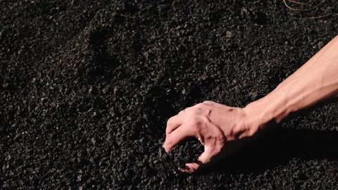 Man's hands with black volcanic lava on Volcan Chinyero Stock Footage 170393553