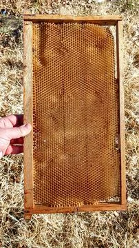 Man's hands checking old beehive. Stock Photos