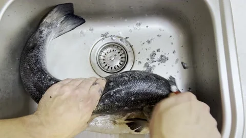 Man's Hands Clean Huge Salmon Fish Skin from Scales. Diet and healthy food. 動画素材 168367312