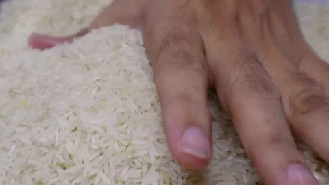 Man's Hands Cradle Raw White Rice Grains Stock Footage 251829320