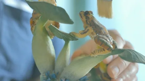 Man's hands dusting off small ceramic frog using paint brush. Color corrected V. Stock Footage 72756515