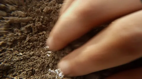 Man`s Hands Find Old Soviet Silver Coins in Ground Dig Out and Count Its Close 스톡 동영상 67164426