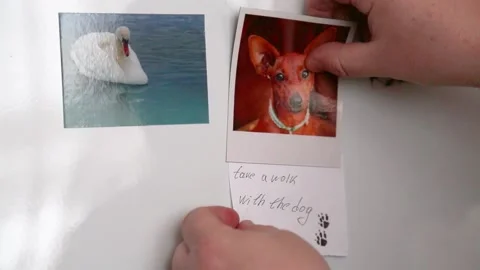 The man's hands hang a magnet with a note on the refrigerator. Stock Footage 149451253