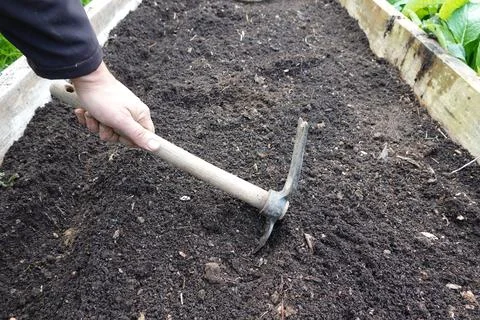 Man's hands with hoe preparing the raised wooden bed. preparing soil for cu.. Stock Photos