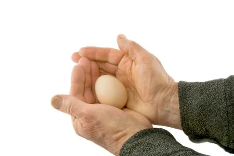 Man's hands hold egg Stock Photos