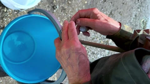 The man's hands open the Shell. Empty shells without Shellfish. Vertical video. Stock Footage 244027062