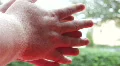 Man's Hands, Out Of Focus Greenery In Background HD Footage