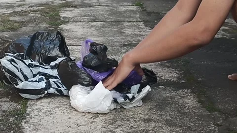 Man's hands picking up plastic waste Stock Footage 315478837