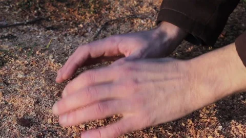 Man's hands picking up sawdust Stock Footage 71798340