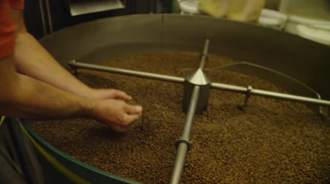 Man's Hands Show Roasted Coffee Beans Stock Footage 35268715