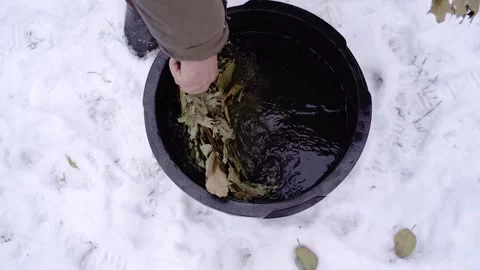 Man's hands soak an oak bath broom in bowl of water 库存影片 223761867
