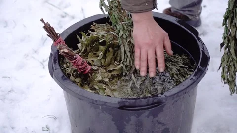 Man's hands soak an oak bath broom in bowl of water Vidéo 223949126