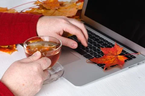 Man's hands using laptop with blank screen on desk in home interior. Stock Photos